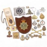 A group of various military badges, including the Royal Sussex Regiment, Artillery, and a Ministry