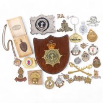A group of various military badges, including the Royal Sussex Regiment, Artillery, and a Ministry