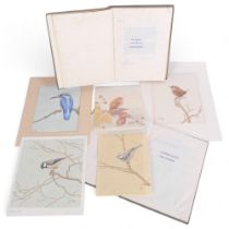 Alfred Brailsford, group of watercolour studies of birds, together with an original typed book by