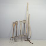 Seven antique garden tools, to include a rake, five forks and a scythe.