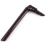 A 19th century lignum vitae walking stick, with carved Greyhound head handle and glass eyes,