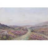 E.Vickers (XIX-XX), watercolour on paper, Moorland Scene, 55.5cm x 38cm, signed lower left, mounted,