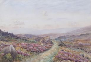 E.Vickers (XIX-XX), watercolour on paper, Moorland Scene, 55.5cm x 38cm, signed lower left, mounted,