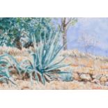 Derek Carruthers (1935-2021), watercolour on paper, Giant Cactus, signed lower right, 24cm x 35cm,