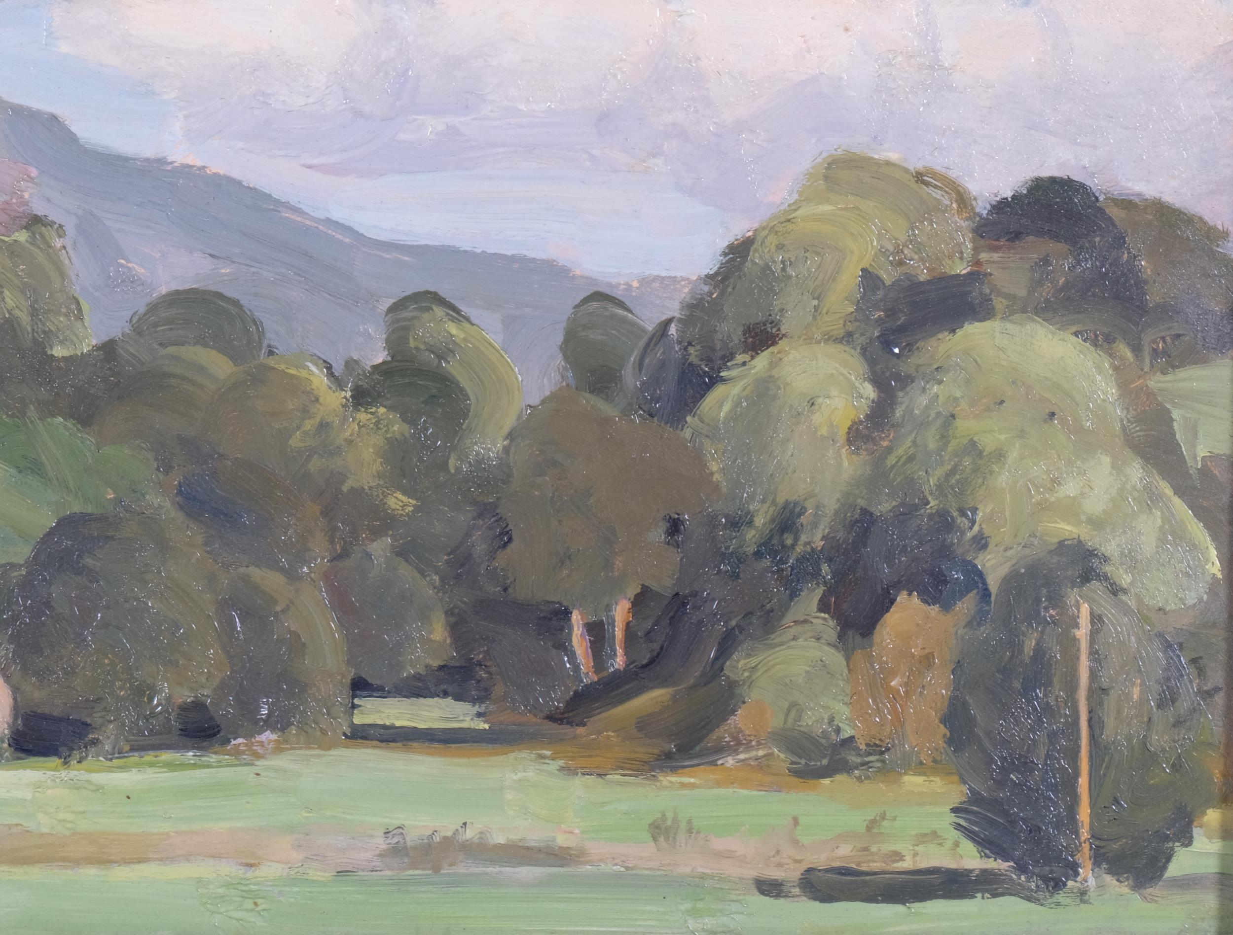 Vita Gollancz (1926-2009), oil on canvas, Water Meadows, Milchnot, initalled lower left and signed - Image 3 of 4