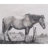 Simon Bull (1958), limited edition etching on paper, The Old Horse, signed and titled in pencil, Ed.