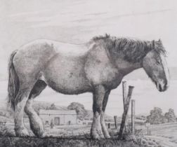 Simon Bull (1958), limited edition etching on paper, The Old Horse, signed and titled in pencil, Ed.
