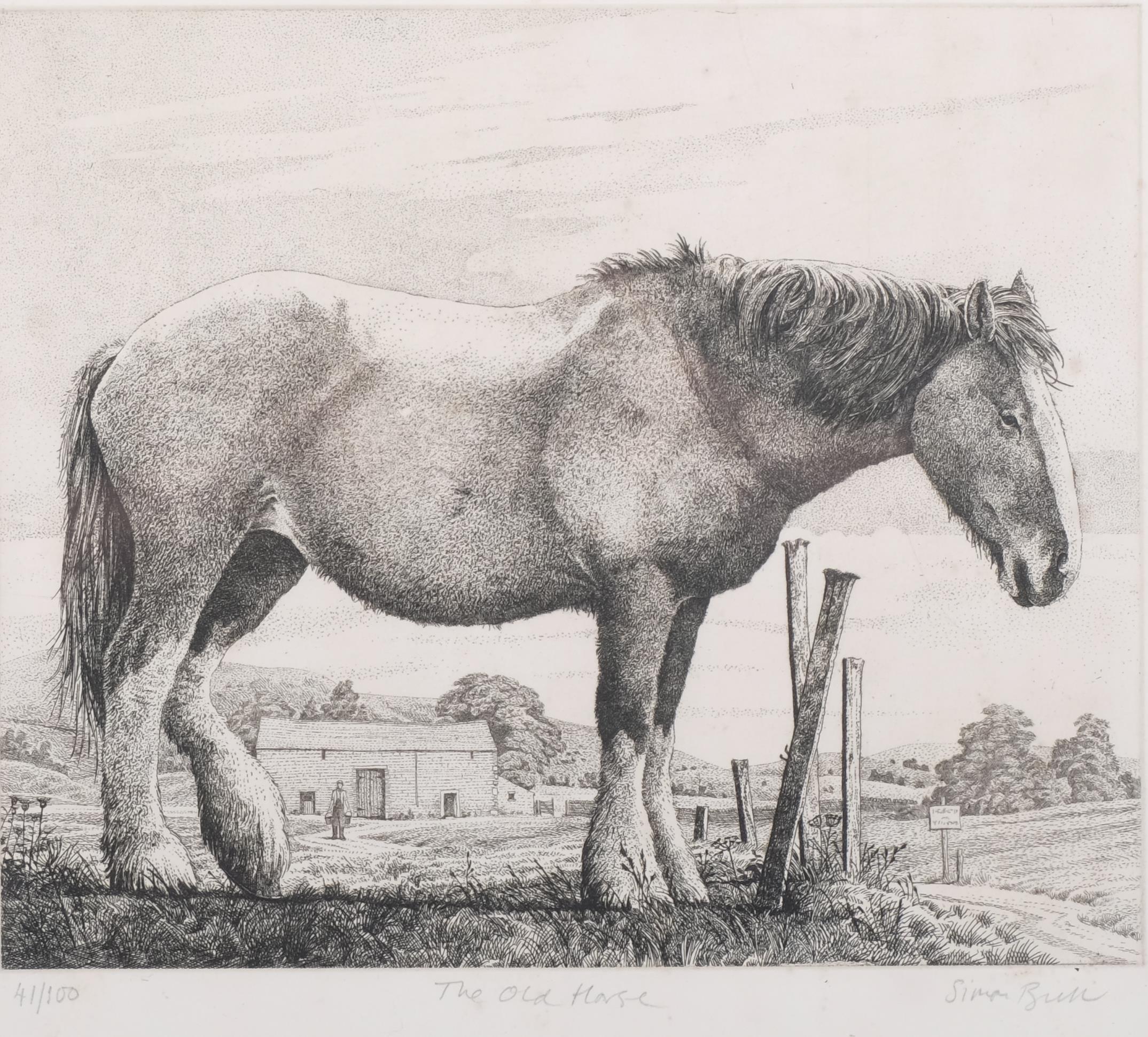 Simon Bull (1958), limited edition etching on paper, The Old Horse, signed and titled in pencil, Ed. - Image 4 of 4