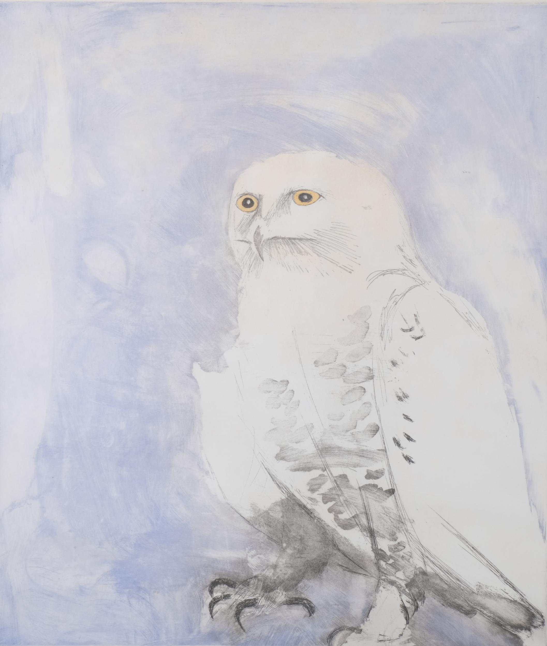 Elisabeth Frink (1930 - 1993), Snowy Owl, from Six Owls (1977), etching and aquatint in colours,