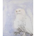 Elisabeth Frink (1930 - 1993), Snowy Owl, from Six Owls (1977), etching and aquatint in colours,