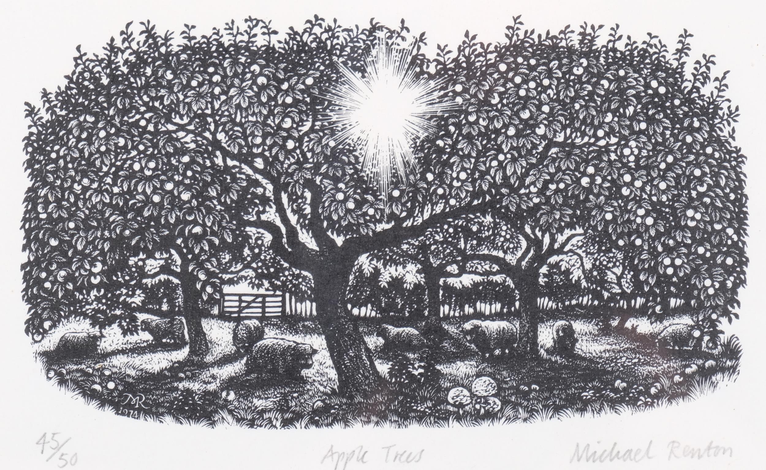 Michael Renton (1934-2001), limited edition wood engraving on paper, Apple Trees, 11cm x 18cm,