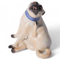 Meissen, a porcelain figure of a seated Pug scratching his neck, with painted blue collar and gold