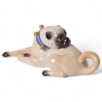 Meissen, a porcelain figure of a seated Pug looking backwards, with a blue and gilded studded