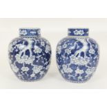 Pair of Chinese blue and white prunus pattern lidded ginger jars, 19th Century, each with blue