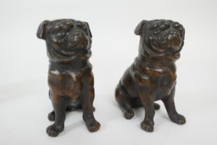 Pair of cold painted spelter figures of pug dogs, circa 1900, each seated on haunches, with a