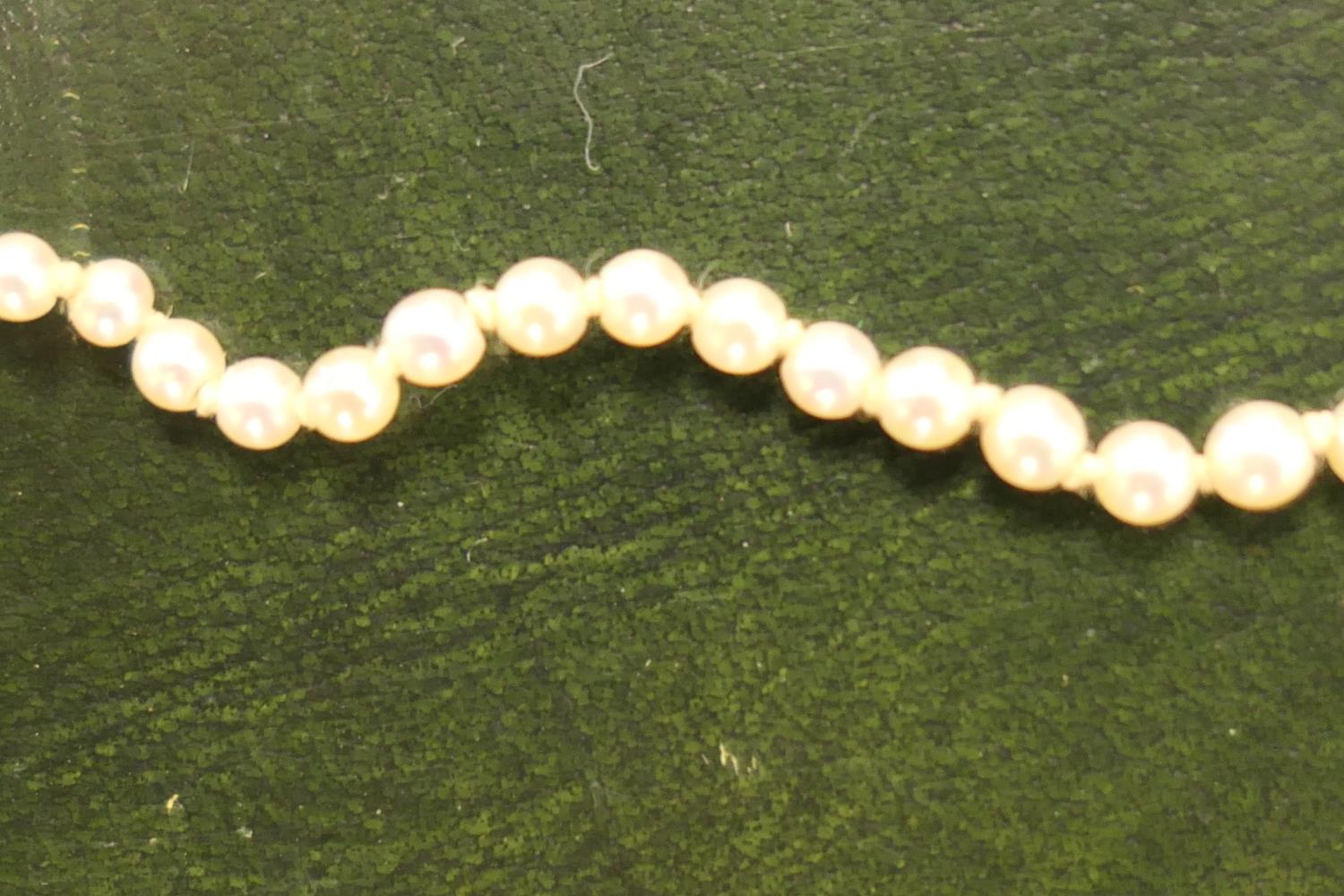 Cultured pearl choker necklace, the graduated pearls united by a 9ct white gold clasp centred with a - Image 5 of 5