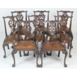 Set of eight Chippendale Revival mahogany dining chairs, comprising six singles and two carvers, all