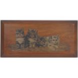 Bessie Bamber (active late 19th/early 20th Century), four tabby kittens, oil on a chamfered walnut