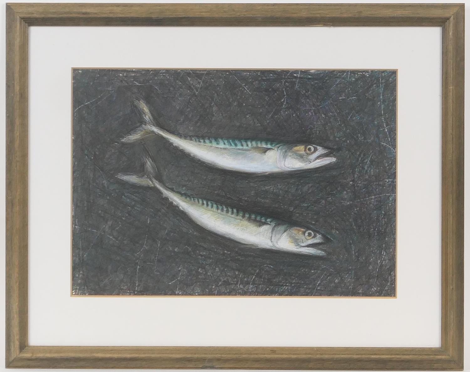 Robert Jones (b. 1943), Mackerel, gouache and coloured crayon, signed and dated 1988, 33cm x 47cm