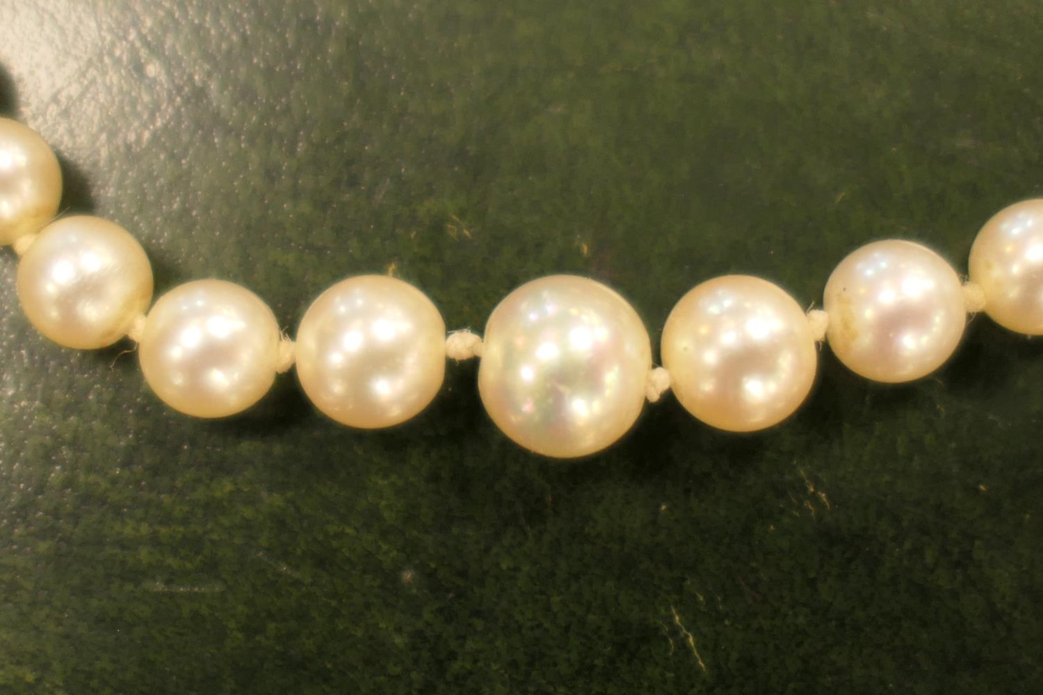 Cultured pearl choker necklace, the graduated pearls united by a 9ct white gold clasp centred with a - Image 4 of 5