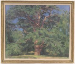 Amy Katherine Browning (1881-1970), Cedar tree of Lebanon, signed oil on canvas, labelled verso,