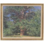 Amy Katherine Browning (1881-1970), Cedar tree of Lebanon, signed oil on canvas, labelled verso,