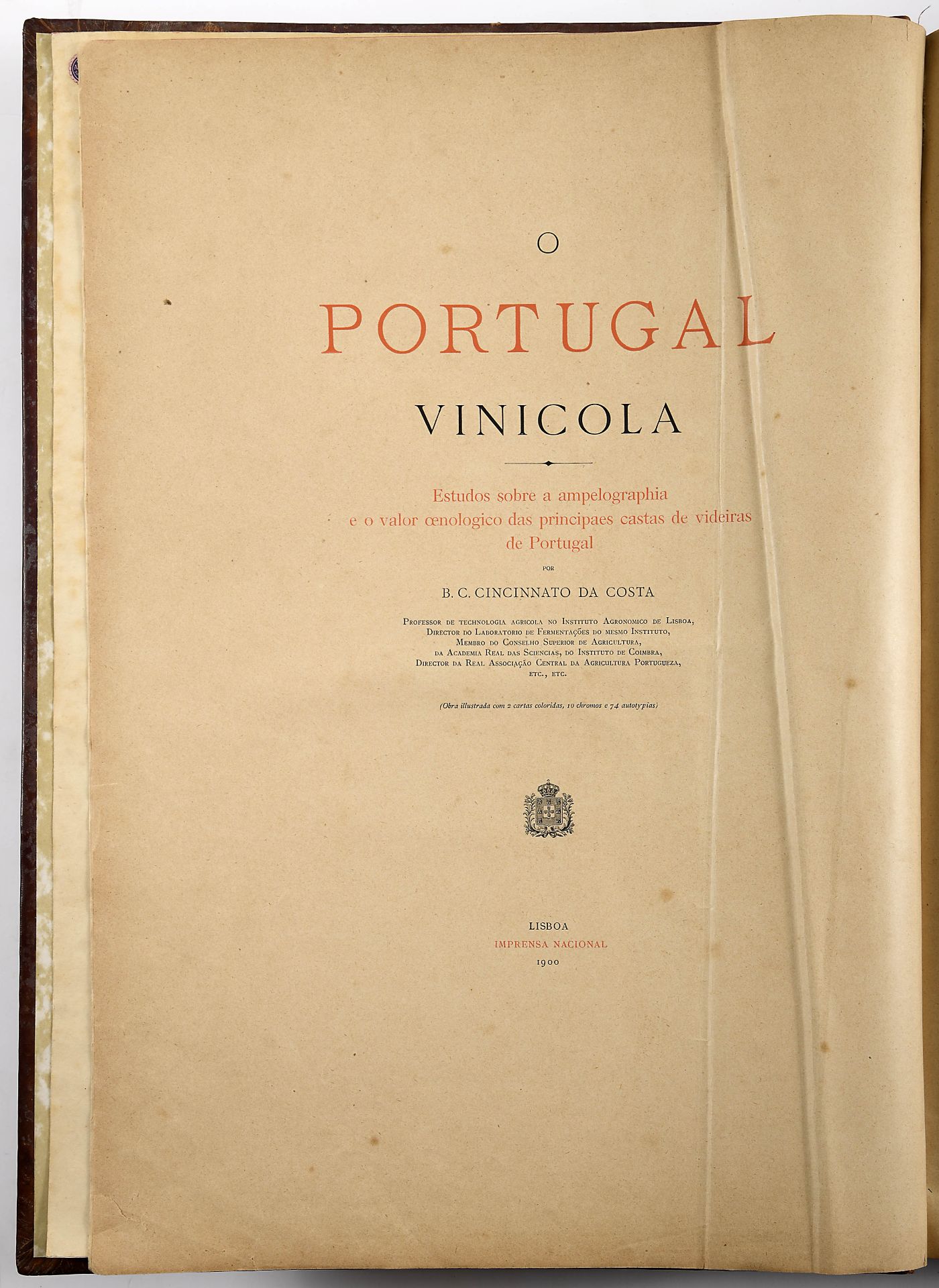 COSTA, Bernardino Camilo Cincinnato da.- O Portugal vinicola: estudos sobre a ampelographia e o valo