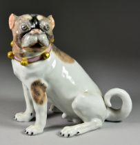 A 'Dresden' Porcelain Model of a Seated Pug Dog, After a Meissen original, 20th Century, with