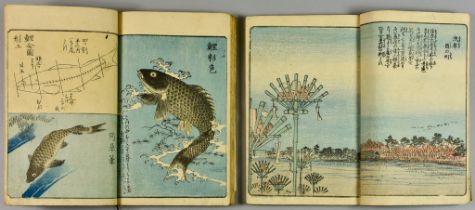 19th Century Japanese School - Coloured woodcuts - Two small volumes of woodcuts of landscapes,