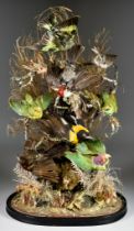 A Taxidermy Display of Birds, 19th Century, in naturalistic surround, on ebonised base and under
