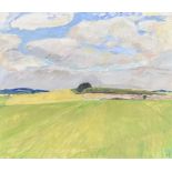 ***Ole Kielberg (1911-1985) - Oil painting - "Torpen" Denmark, grassland scene with cloudy sky,