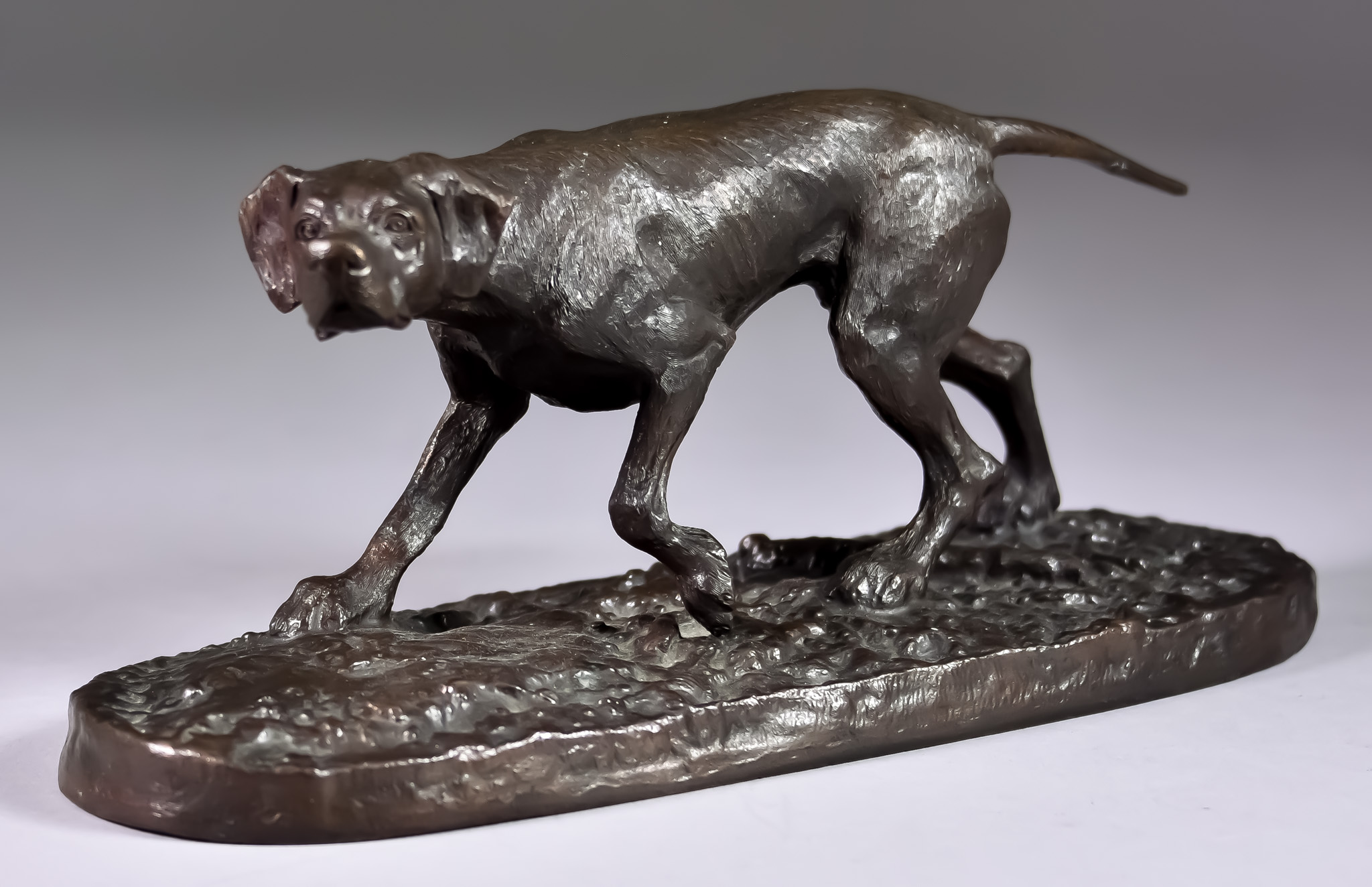 20th Century British School - Bronze - Standing figure of English Pointer, on naturalistic base,