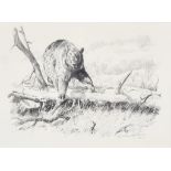 ***Dino Paravano (b. 1935) - Pencil drawing - Brown bear on a fallen log, signed and dated 1996, 8.