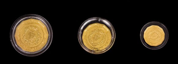 An Elizabeth II Twelve Sided Gold Sovereign Three Coin Set, 2017, in Hatton's Of London presentation