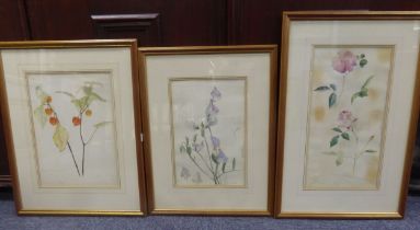 GEORGE JONES (c 1830 - 1893) THREE WATERCOLOUR STUDIES OF ROSES, PHYSALIS AND SWEETPEA One signed
