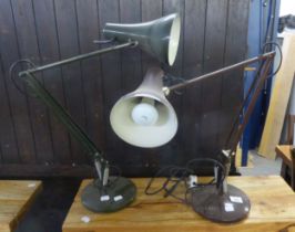 TWO ANGLEPOISE LAMPS (2)
