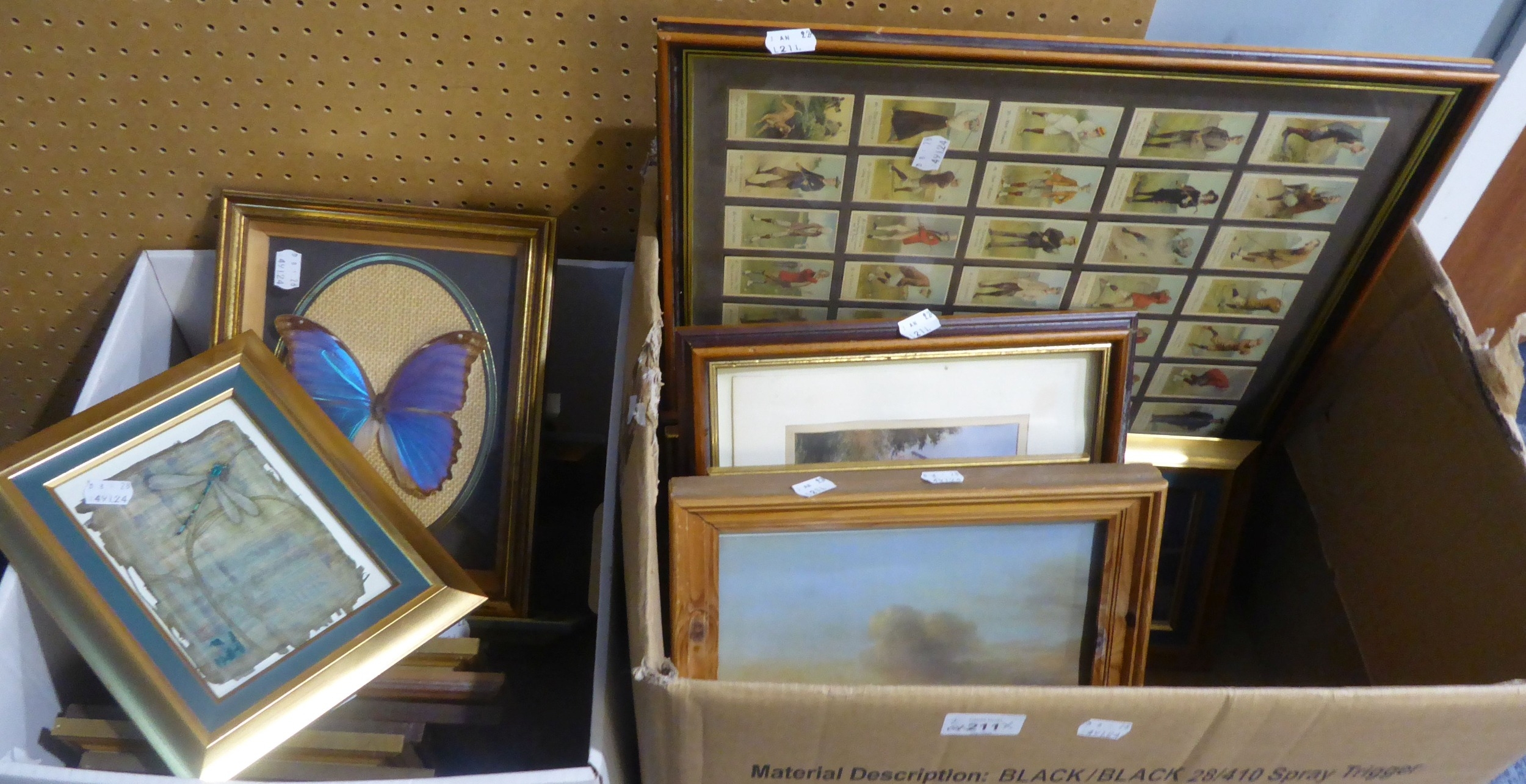 A FRAMED SPECIMEN OF A LARGE BUTTERFLY, ANOTHER OF A DRAGONFLY GOLFING CIGARETTE CARDS IN FRAME, TWO