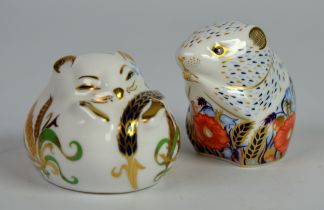 ROYAL CROWN DERBY: TWO PAPERWEIGHTS modelled as a sleeping dormouse and a Collector's Guild poppy