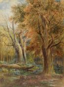 WILLIAM H. MULLER-HEWITT (19th/20th century) WATERCOLOUR & CRAYON 'Wickham Woods' signed lower right