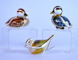 ROYAL CROWN DERBY: THREE PAPERWEIGHTS modelled as ducklings in red and blue colourways and a