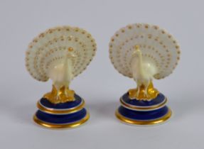 PAIR OF CHAMBERLAIN’S WORCESTER PORCELAIN MODELS OF PEACOCKS, each modelled with tail feathers in