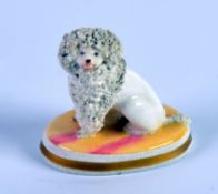 PROBABLY CHAMBERLAIN’S WORCESTER PORCELAIN MODEL OF A SEATED CLIPPED POODLE, on an oval pink and