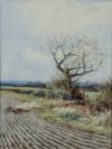 ALFRED MOLYNEUX STANNARD (1878-1975) WATERCOLOUR ‘An Autumn Hedgerow’ Signed, titled verso 8 ½” x