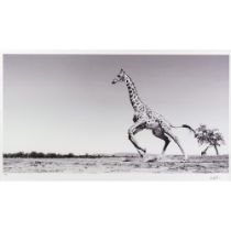 ANUP SHAH (1949) ARTIST SIGNED BLACK AND WHITE PHOTOGRAPHIC PRINT ‘Dance’ (48/150) with