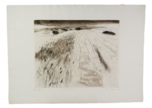 JOAN WILLIAMS (1922 - 2002) ARTISTS PROOF ETCHING WITH AQUATINT La Camargue Signed, titled and dated