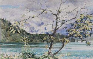 ALBERT B OGDEN (b. 1928) WATERCOLOUR DRAWING Windswept Tree, Fuschlsee, landscape with lake, small