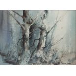 GORDON DALE (TWENTIETH/ TWENTY FIRST CENTURY) WATERCOLOUR ‘Woodland, Light & Shade’ Signed, titled