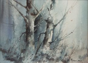 GORDON DALE (TWENTIETH/ TWENTY FIRST CENTURY) WATERCOLOUR ‘Woodland, Light & Shade’ Signed, titled