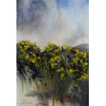 LYNNE FROST (Contemporary) MIXED MEDIA 'Summer Gorse' Signed lower left, titled on artist's label