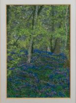 MAXINE PIGRAM (Contemporary) FREE-MACHINE EMBROIDERY 'Springtime' Signed on the card mount,